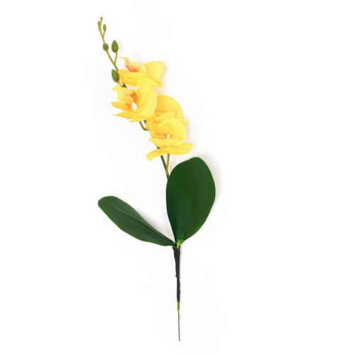 Single Stem 4- Head Phalaenopsis with Leaf