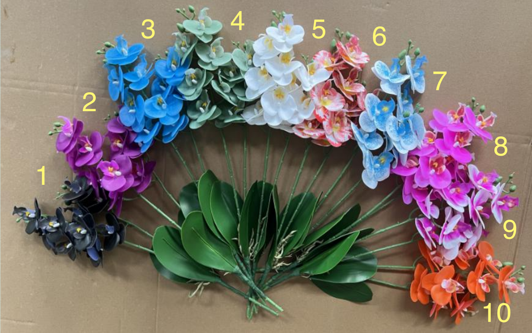 2-Branch 10- Head Phalaenopsis with Leaf - Image 3