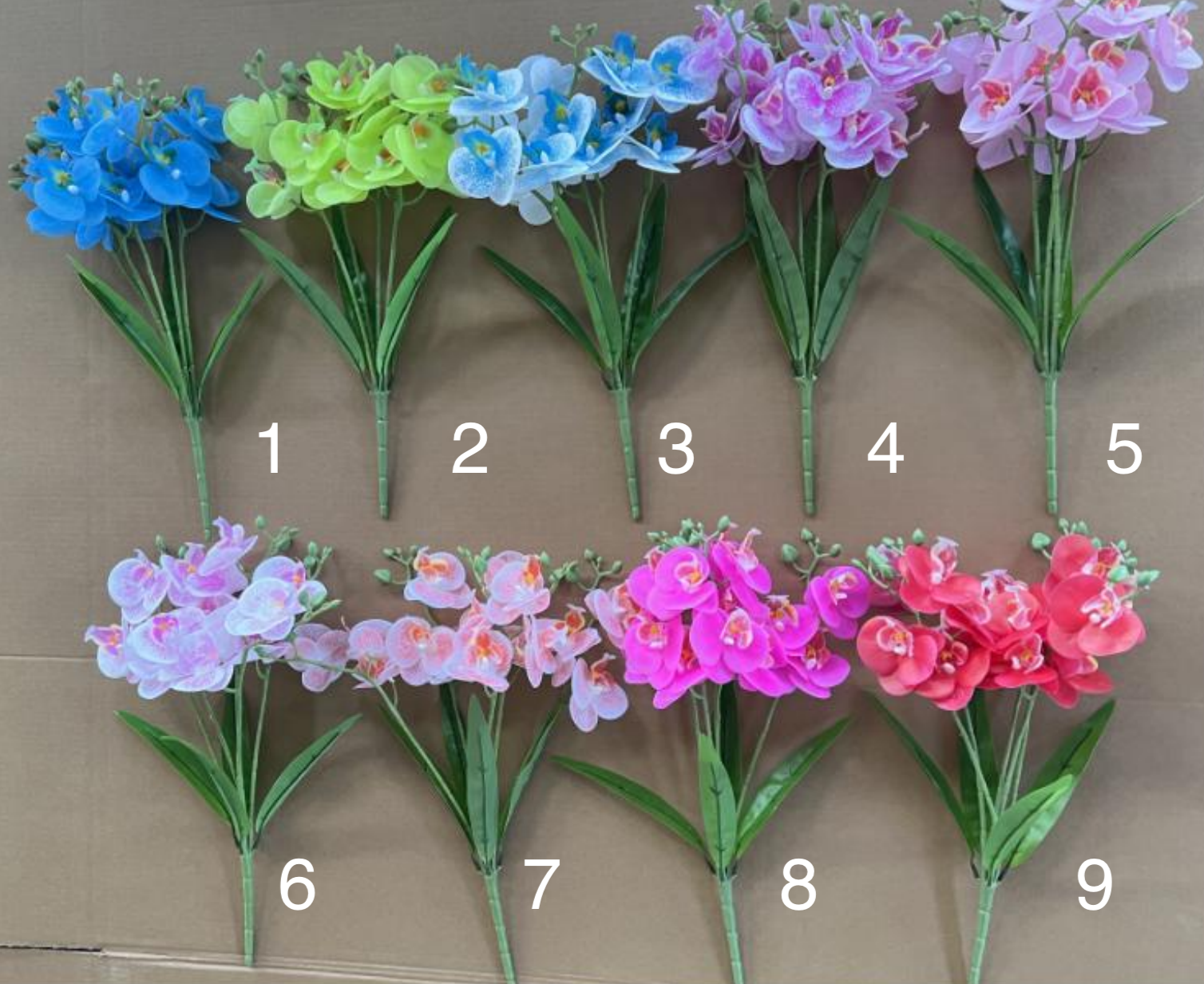 5-Branch 15- Head Phalaenopsis - Image 3