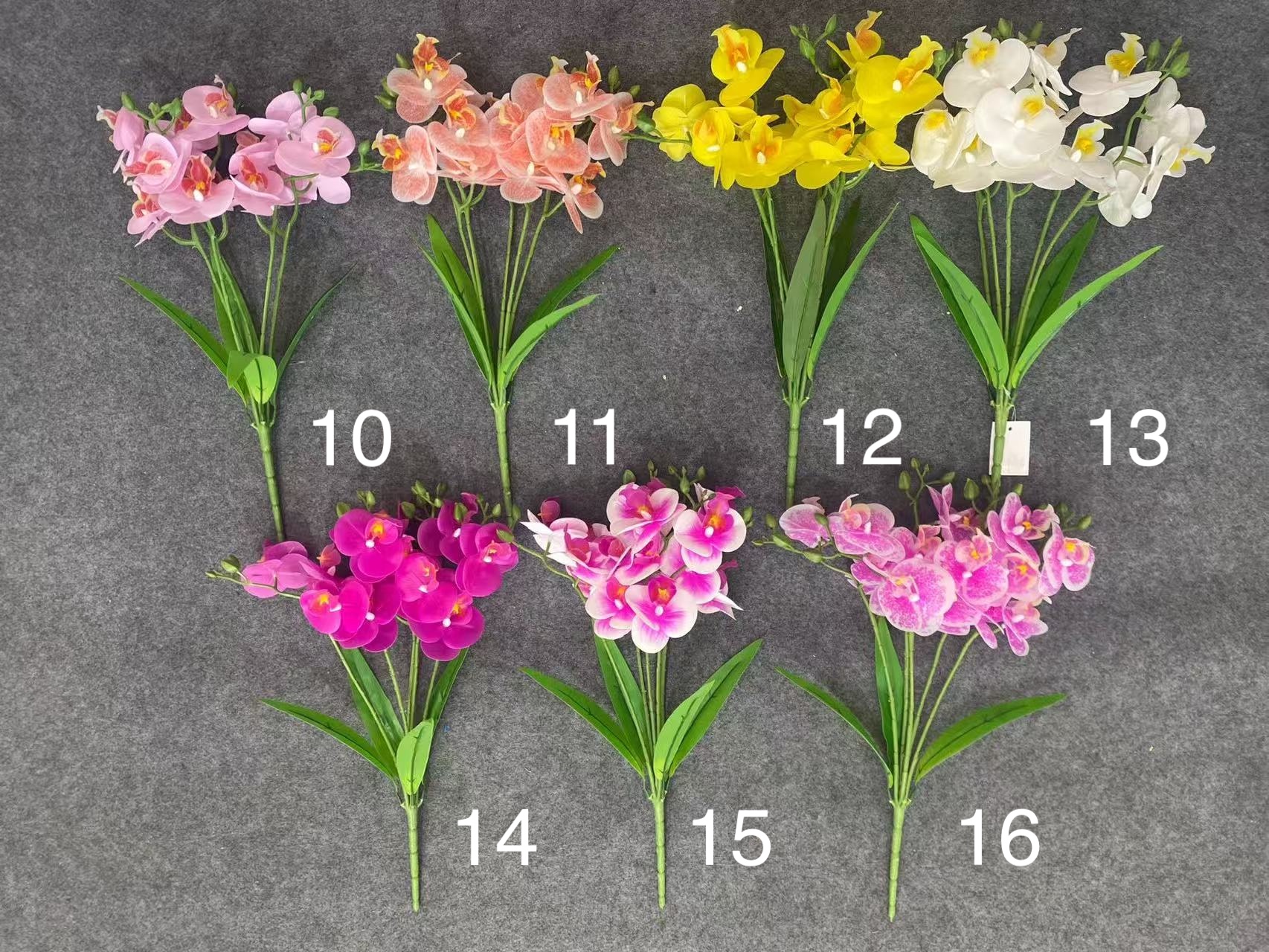 5-Branch 15- Head Phalaenopsis - Image 4
