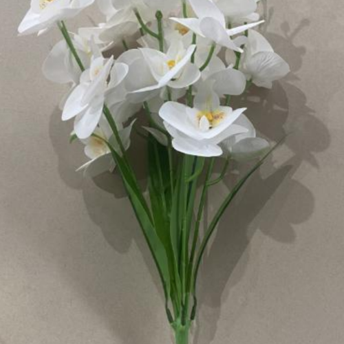 5-Branch 20- Head Phalaenopsis