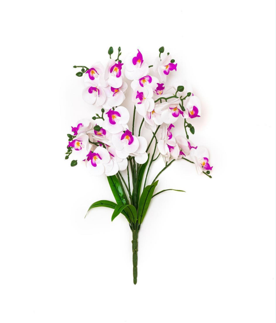 11-Branch 33- Head Phalaenopsis